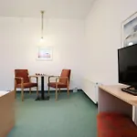 Strandflieder 206
