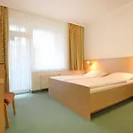 Strandflieder 206 *