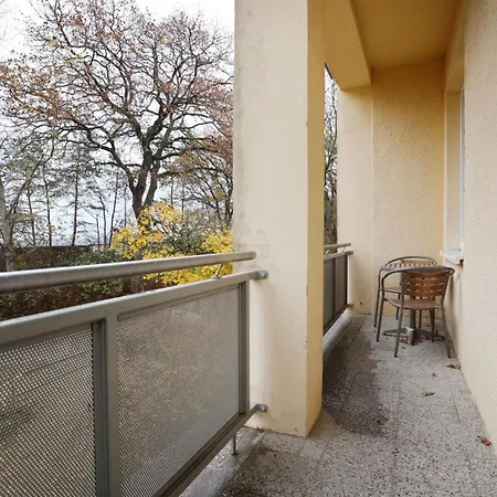 Strandflieder 206 *