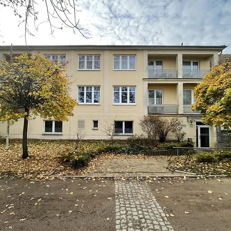 Strandflieder 206