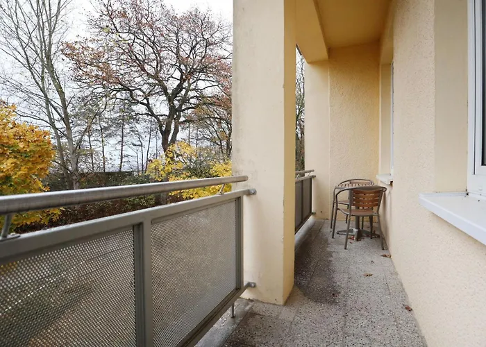 Strandflieder 206 *